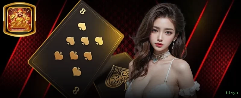App bingo Android download