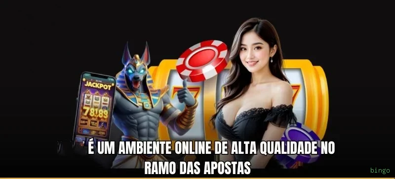 bingo slots no app