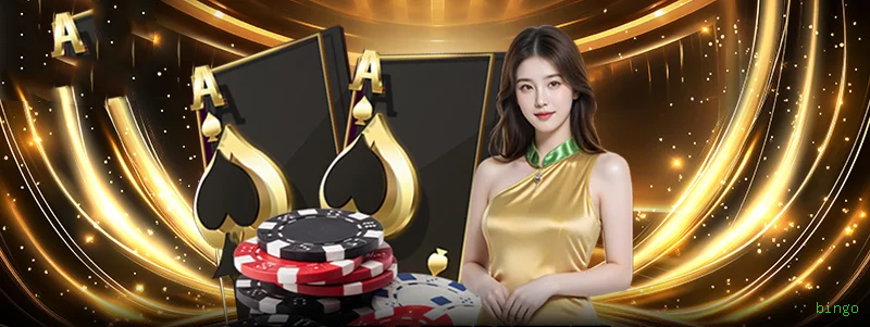 App bingo slots mobile