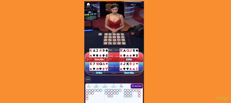 Suporte VIP bingo - atendimento prioritário